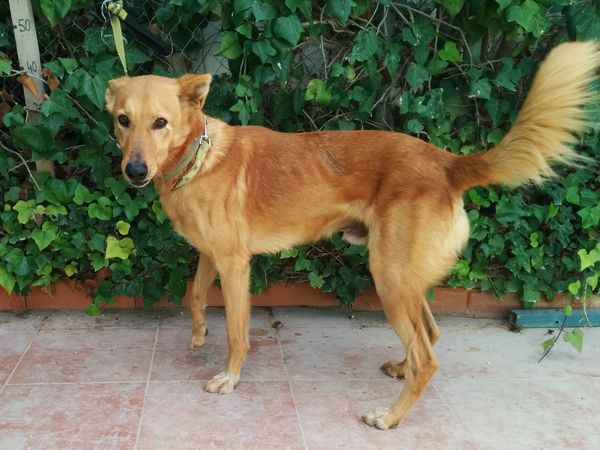 Support Our Business!
